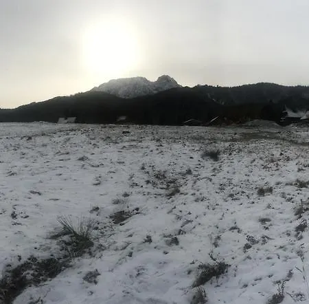 Viva Maria Harmonia *